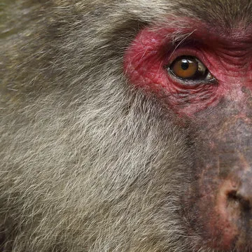 2026世界杯VIP频道